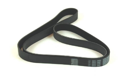 ERR5911 Serpentine Belt (fan, PAS, alternator) 300Tdi