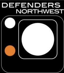 MUC3027 Window Regulator Left Hand Rear Glass