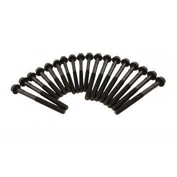 Cylinder Head Bolt Kit 300TDI -