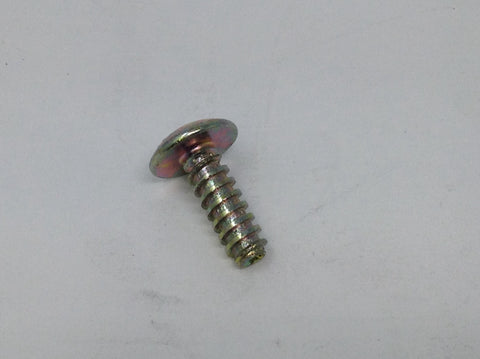 320045 Screw, Floor/Panel