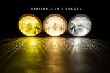 HOLLEY RETROBRIGHT LED HEADLIGHTS